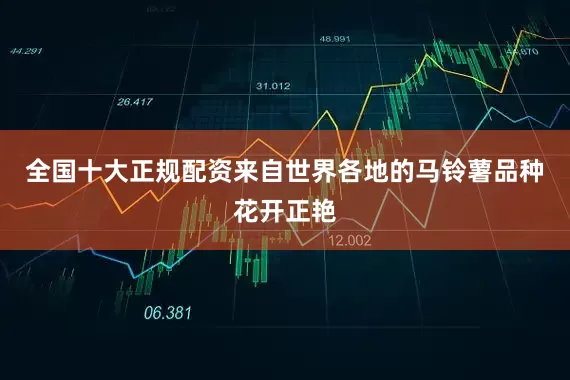 全国十大正规配资来自世界各地的马铃薯品种花开正艳