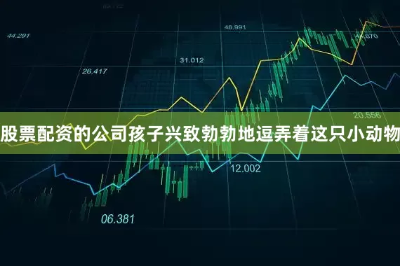 股票配资的公司孩子兴致勃勃地逗弄着这只小动物