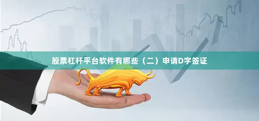 股票杠杆平台软件有哪些　　（二）申请D字签证