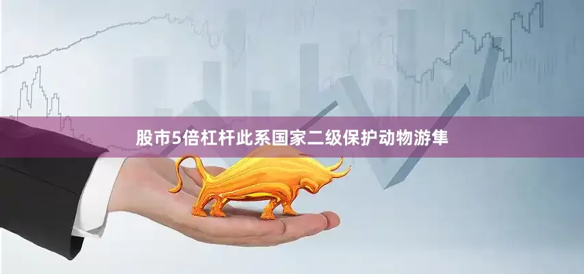 股市5倍杠杆此系国家二级保护动物游隼