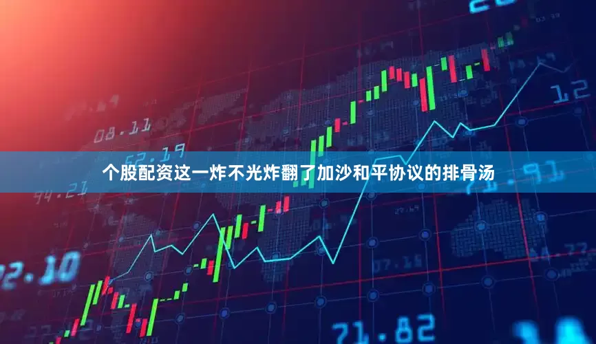 个股配资这一炸不光炸翻了加沙和平协议的排骨汤