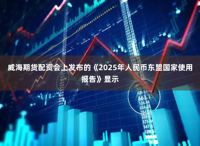 威海期货配资会上发布的《2025年人民币东盟国家使用报告》显示